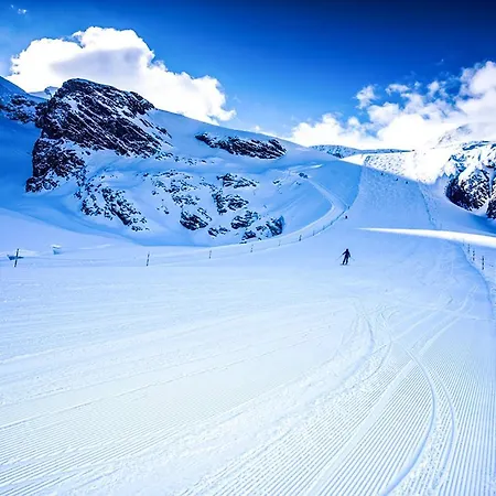 Joli Studio Fraichement Renove A Cote Des Pistes Saas-Fee